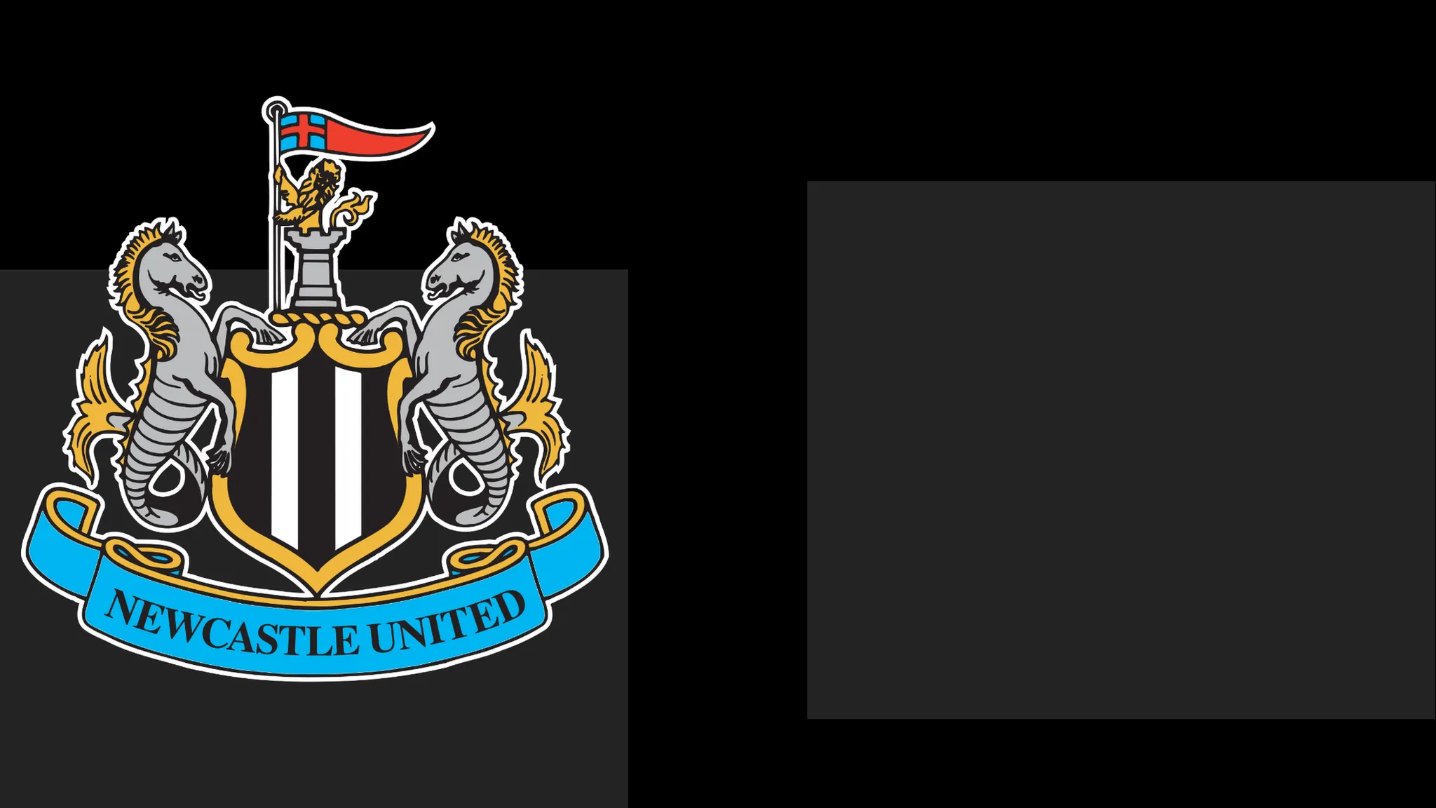 Newcastle's boss Praises Team's Determination – But It Only Takes Them To a Point